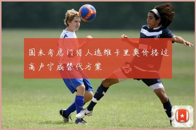 国米考虑门将人选维卡里奥价格过高卢宁成替代方案