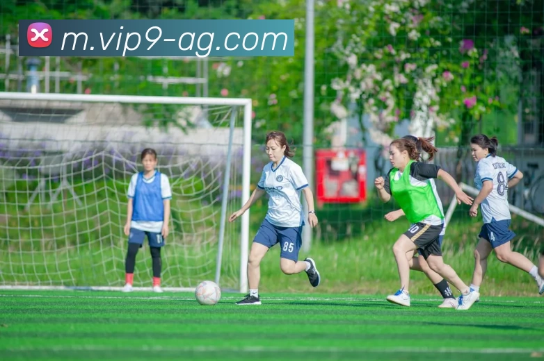 AG娱乐平台生态图